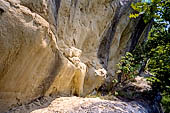 Nelle terre di Matilde - Sentiero da Valestra a Carpineti: nicchie nelle bancate arenacee. 